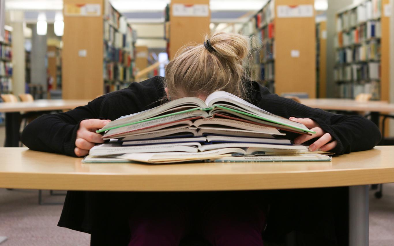 Student Studying Higher Resolution